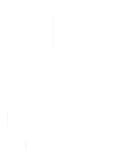 Barizi Digital Fusion logo